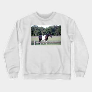 One Horse Pasture Crewneck Sweatshirt